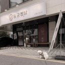 55찜닭 | 향동맛집 푸짐하고 소스가 진한 동궁찜닭 고양향동점 강아지랑 다녀온 후기
