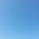 소라면 장척 이미지