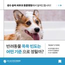 숲속동물병원 | 반려동물 목욕 빈도 기준 | 서울 동물병원피부과 🌿성수 숲속 피부과 동물병원