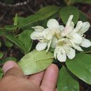 남한서사무소 이미지