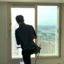 이안솔라 이미지