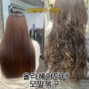 올라헤어닥터