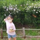 효인약국 이미지