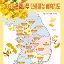#2025년 지역별 단풍 시기 이미지