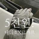 백자로 L | 가성비 5천원! 다이소 르까프 남성 남자 장갑 후기 - 겨울 스키 스노보드 방한용 ft루디스