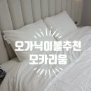 오가닉이불추천 세탁도 가능해서 반려동물과 편히 쓰기 좋은 모카리움 후기