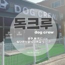 독크루 이미지