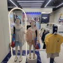 폴햄폴햄키즈 네이버블로그