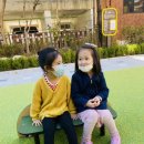 보등골어린이공원 Daum카페