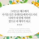 피쉬마켓 이미지