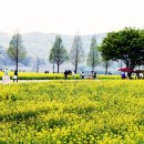 설천면117 이미지