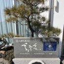 금곡초등학교 | [오산 카페 추천] 홍종흔 명장의 대형 베이커리 카페, '골든헤겔' 솔직 후기 🥐