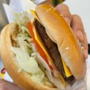 도안동로(유성-85) 이미지