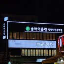 솔바이올린