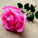 ROSÉ - Messy (From F1® The Movie) 이미지