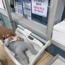 대정어린이집 | 65일 아기 성장일기, 2개월 접종후기 모유수유 베이비타임 기록공유