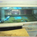 종로초밥 이미지