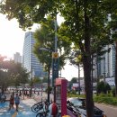 골목길 치킨 이미지