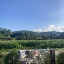 빨래천국세탁소 이미지