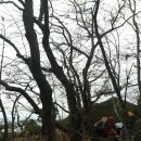 백암중학교 이미지