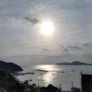 어린왕자스파애견펜션 네이버블로그