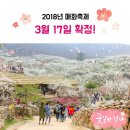 2018년 3월24일 토요일 # 산수유 꽃 매화 꽃 축제 # 산행안내 이미지