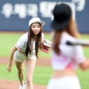 스텔라 이미지