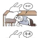 핑크팬더즈 수원세류점 이미지