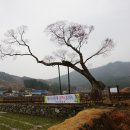남해-276 Daum카페