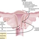 유가면사무소 이미지