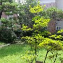 정발중학교 이미지