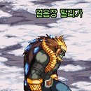 CW-0383-01 이미지