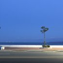 오거리원조할배돌곱창 이미지