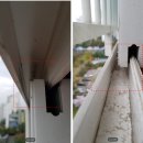 물푸레마을6단지 이미지