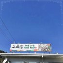고목정 이미지