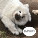 에스짐 휘트니스 이미지