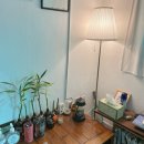 초당하우스 이미지