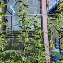 안영슈퍼 이미지