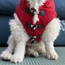 뚜뚜떡볶이 이미지