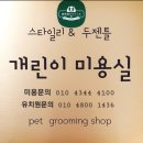 개린이미용실 이미지