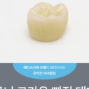 로타리치과의원 이미지