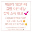 멍블리 애견카페 이미지