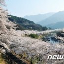 화개장터