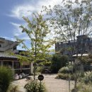 현풍로 | 🏡 대구 한옥카페 현풍 &#39;스몰버드&#39; 프렌치토스트 솔직후기