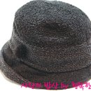 행복한 가정요리 Daum카페