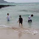 오성설악체육관 이미지