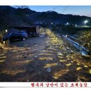 만물농장 이미지