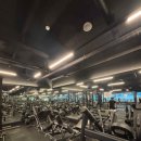 필 피트니스 이미지