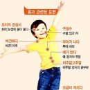 오금이 저리다… &#39;오금&#39;은 어디일까? 이미지