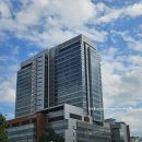 서울성모약국 이미지